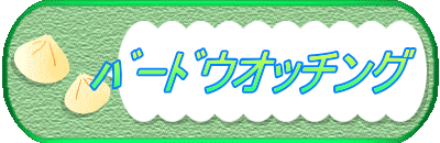 　　ﾊﾞｰﾄﾞウオッチング